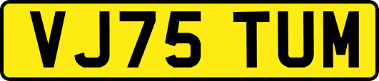 VJ75TUM