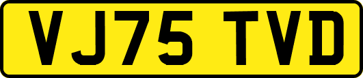 VJ75TVD