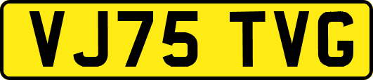 VJ75TVG