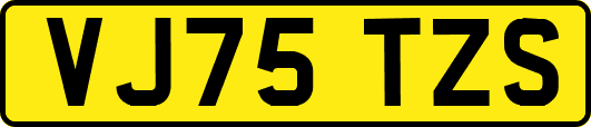 VJ75TZS