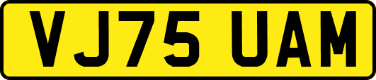 VJ75UAM