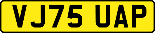 VJ75UAP