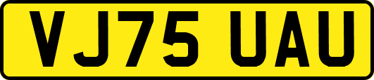 VJ75UAU