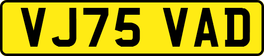 VJ75VAD