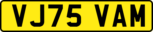 VJ75VAM
