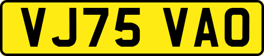 VJ75VAO