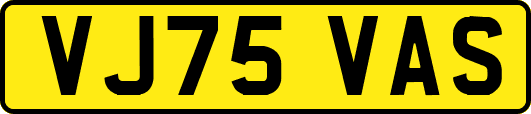 VJ75VAS