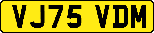 VJ75VDM