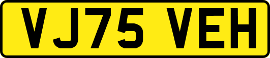 VJ75VEH