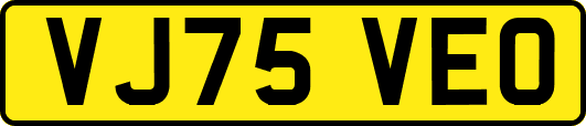 VJ75VEO