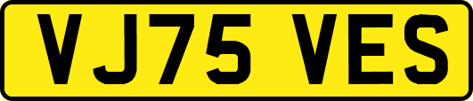 VJ75VES