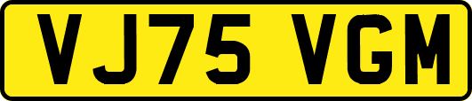 VJ75VGM