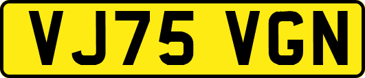VJ75VGN