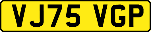 VJ75VGP