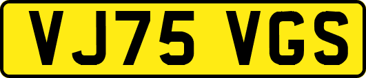 VJ75VGS