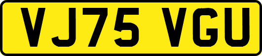 VJ75VGU