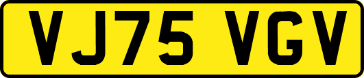VJ75VGV