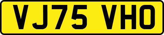 VJ75VHO