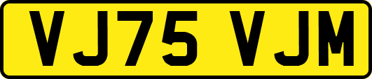VJ75VJM