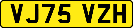 VJ75VZH