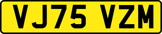 VJ75VZM