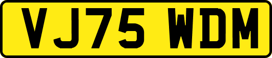 VJ75WDM
