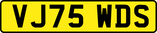 VJ75WDS
