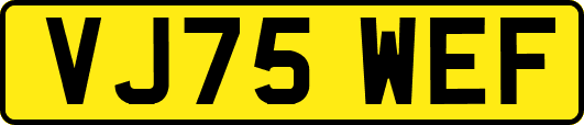 VJ75WEF