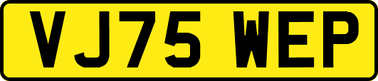 VJ75WEP
