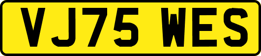 VJ75WES