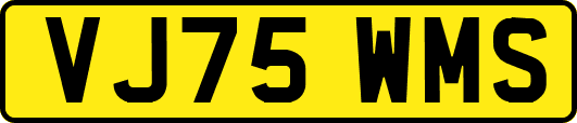 VJ75WMS