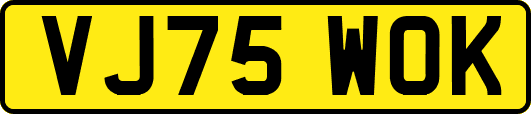VJ75WOK