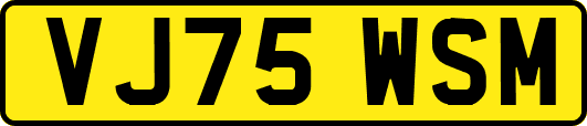 VJ75WSM