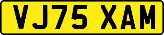 VJ75XAM