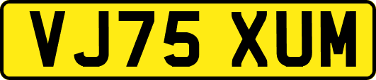 VJ75XUM