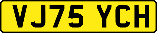 VJ75YCH