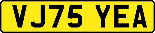 VJ75YEA