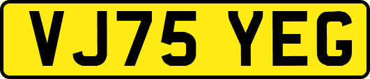 VJ75YEG