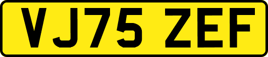 VJ75ZEF