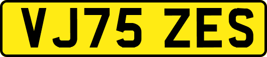 VJ75ZES