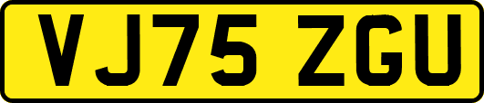VJ75ZGU