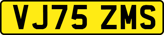 VJ75ZMS