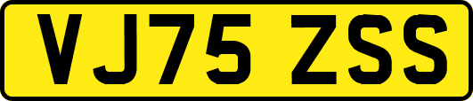 VJ75ZSS