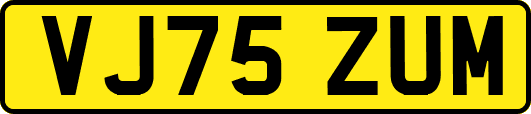 VJ75ZUM