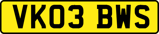 VK03BWS