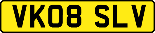 VK08SLV