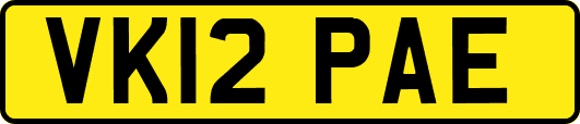 VK12PAE