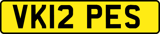 VK12PES
