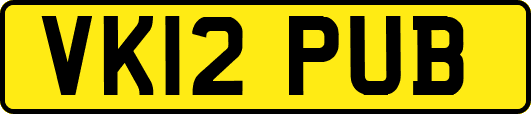 VK12PUB