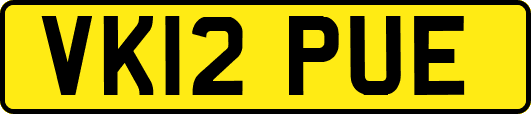 VK12PUE